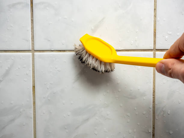 Best Mold Removal Specialists  in Clarence, IA