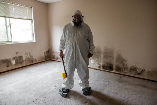 Best Residential Mold Removal  in Clarence, IA